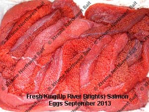 Fresh Salmon Egg, Fresh Salmon Roe, Xtreme Northwest Bait Co